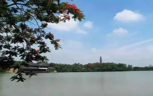 新春登高祈福首選 399元享羅浮山凱賓利世御酒店親子度假套餐，盡攬名勝風(fēng)光與侏羅紀(jì)奇趣