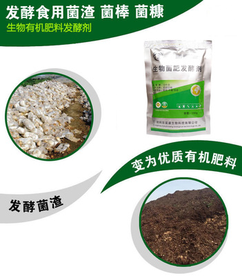 從蘑菇渣到有機肥 菌種選購與成本指南